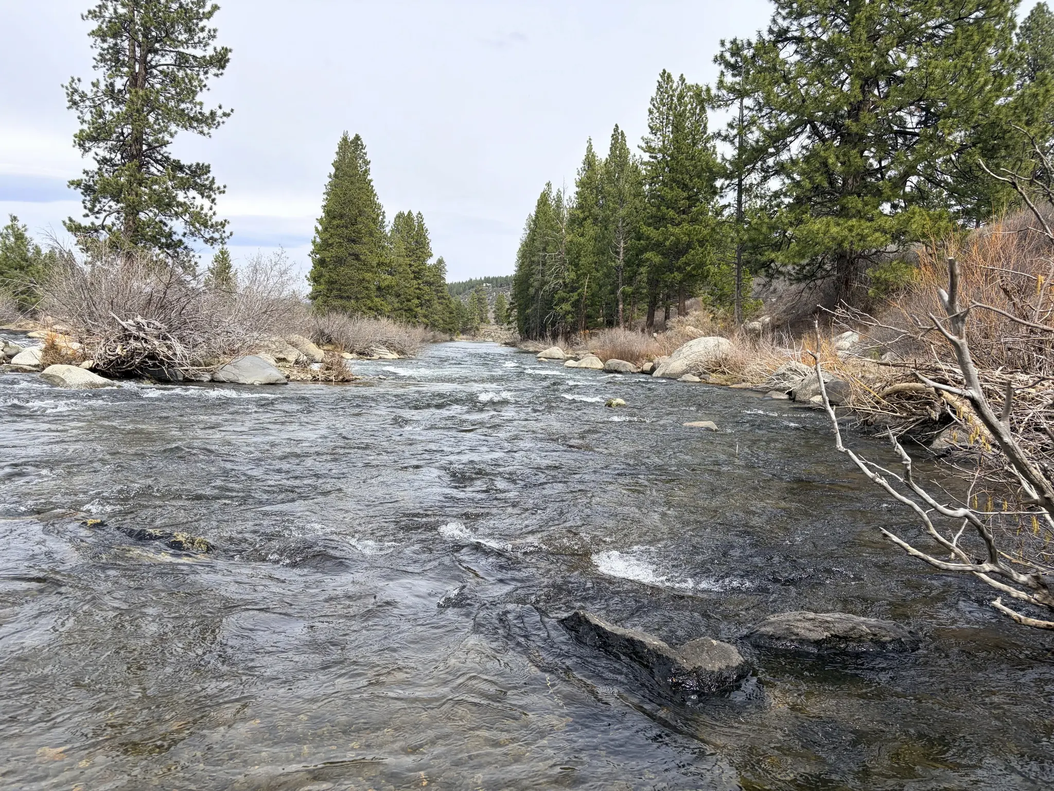 Clean Water Revitalization Project scenery